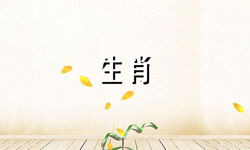 属猪什么时辰出生好命 属猪什么时辰出生最好