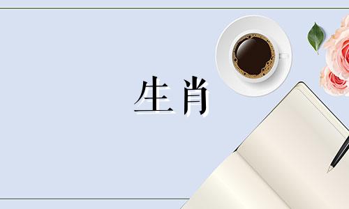 2024龙本命年如何提升运气呢