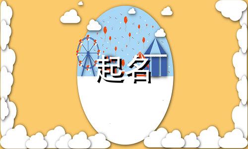 取带飞字的创意咨询公司名字大全