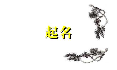 公司用中字起名字大全 用中字取公司名字