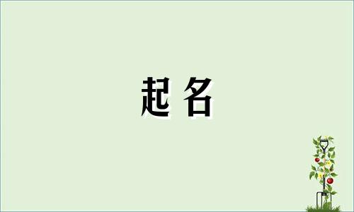 跟木有关的帅气取公司名字有哪些