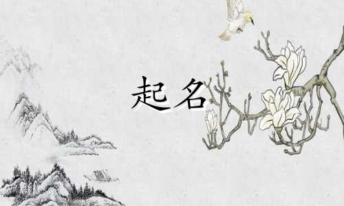 吴忠市哪里有公司取名的地方啊
