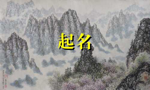 新字开头的两个字公司名字
