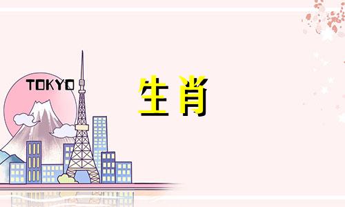 87属兔和90年属马竟然是绝配
