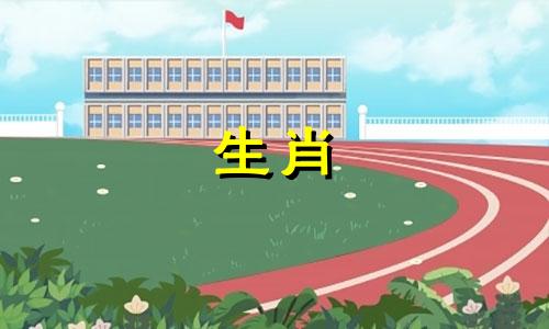 属马的和属兔的合不合婚姻呢