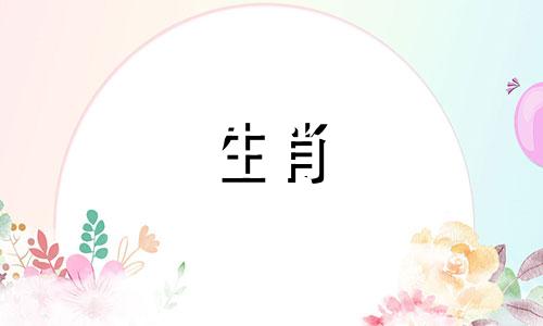 生肖兔男和龙女相配吗婚姻如何