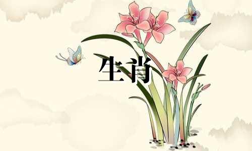 生肖猪2024年1月运势及运程详解