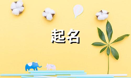 范姓男孩名字2024年属兔起名大全