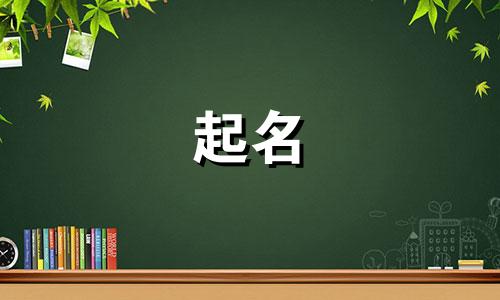 茅姓女孩名字2024年属兔起名大全