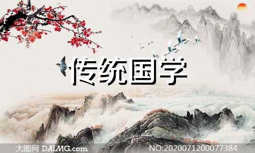 女属兔男属龙2024年结婚吉日有哪些