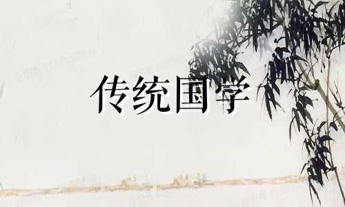 八字日柱地支是什么意思 地支日柱子