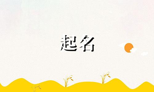 姓何的和姓秦的孩子叫什么名字