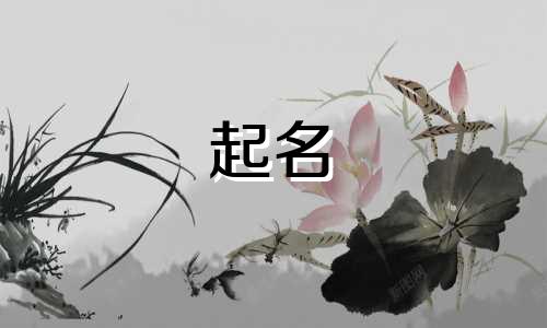 姓许的和姓文的孩子叫什么名字