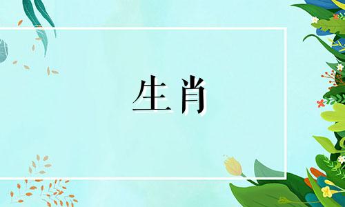 猴在龙年2024的运气如何 1993属鸡转折点在哪一年