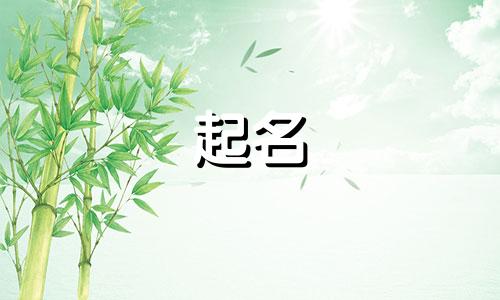 爸爸姓贺妈妈姓董给孩子起名叫什么好听点