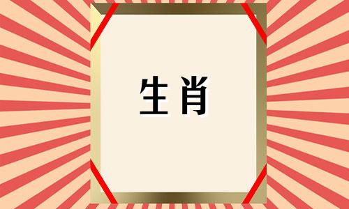 今日生肖运势2024年2月3日解析视频