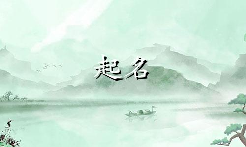 带迈的公司名字有哪些公司好听