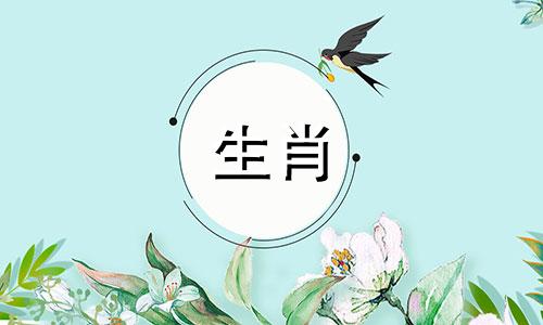 1988年属龙几月命好19680