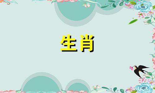 属兔2024年2月4日今日运势如何呢