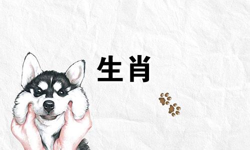 属马连续三年犯太岁需要每年都拜太岁吗