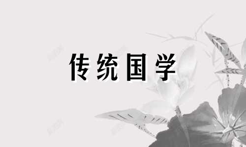 米竹的养殖方法和注意事项