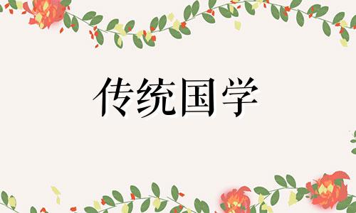 2024年2月9日五行穿衣指南