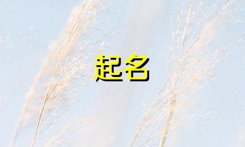 妈妈姓汪爸爸姓马取名女孩名字