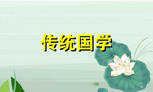 黑猫到底是招财还是来灾呢