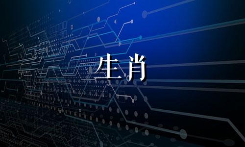 2024年大年初二出生的女孩是什么命运