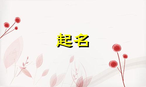 妈妈姓龙爸爸姓卢取名男孩子