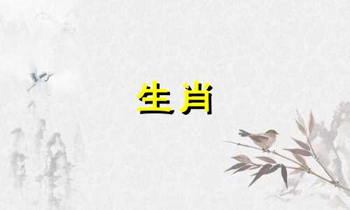 属猴人2024年跟谁一起财运好呢