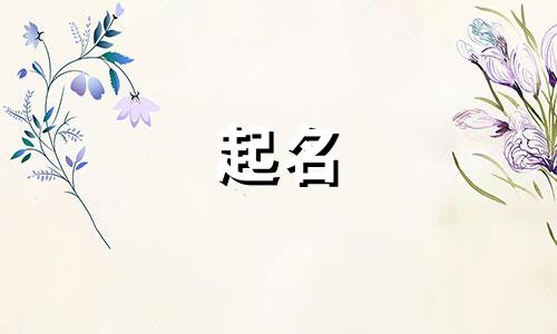 2024年好听有个性的女孩名字有哪些