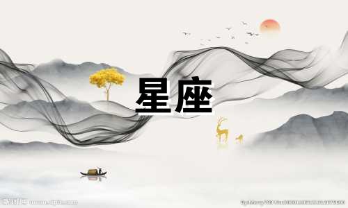 2024年11月3日摩羯座运势