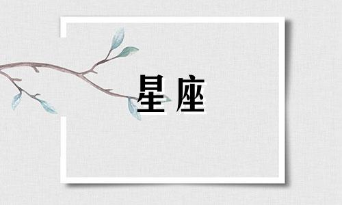 2024年8月19日处女座运势