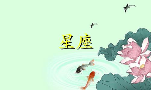 白羊座2024年7月20日运势