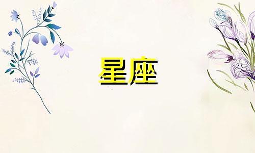 双子男不喜欢你的表现形式