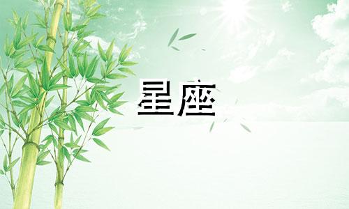 追天蝎女需要天天联系吗 追天蝎女需要直接表白吗