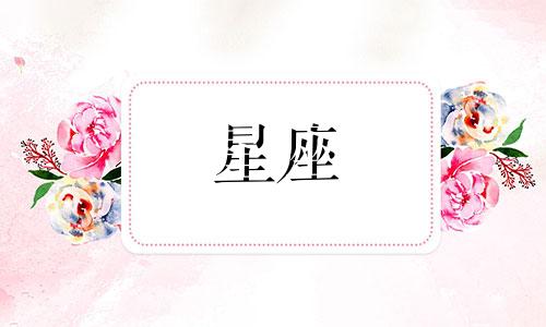 注定跟水瓶恩爱一生的星座