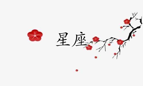 狮子男对在意的女生的表现