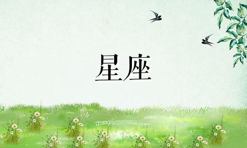 狮子座最宠爱什么星座 狮子座最爱的三个星座