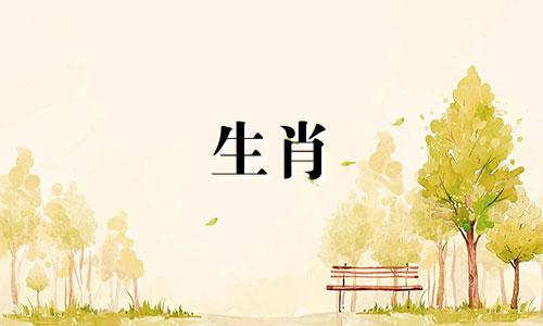 女属牛与男属猪婚配好不好