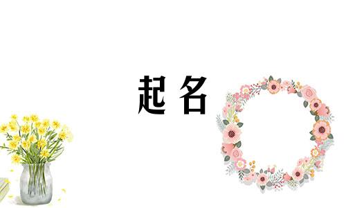 男的姓许女的姓叶给宝宝取什么名字好
