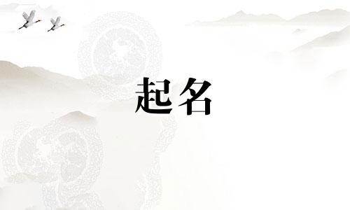 2024年钮姓龙宝宝取名字最佳字辈是什么
