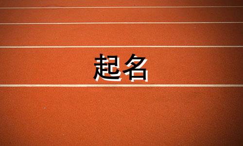 爸爸姓康妈妈姓董给孩子起名叫什么好听点