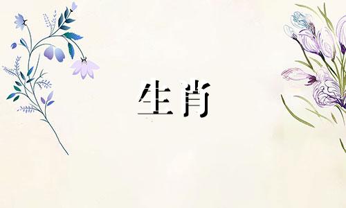 属羊跟属蛇的合不合适 羊和蛇在一起谁带财