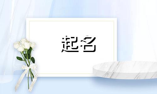 爸爸姓姜妈妈姓卢给孩子起名叫什么好听点