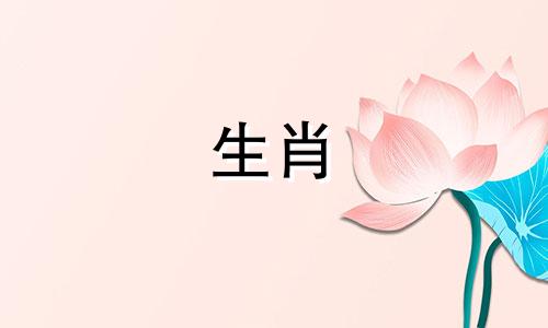 属蛇犯什么忌讳呢女生结婚