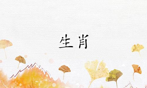 什么八字是男追女的特征 被女人追的男八字