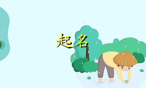 全姓女孩名字2024年属龙起名字