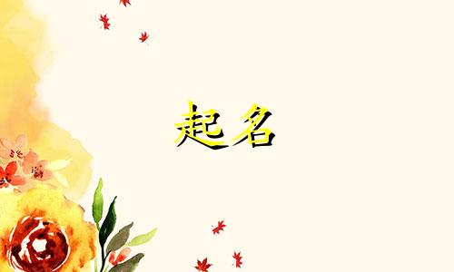 父姓薛母姓张宝宝名字大全